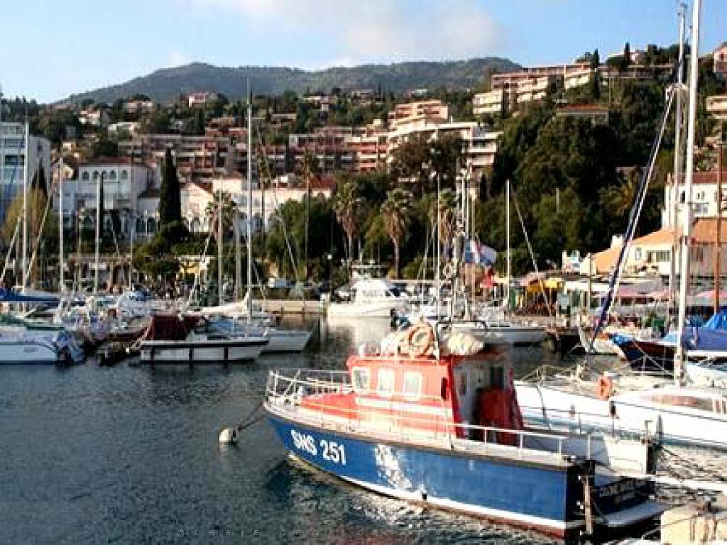 183 D36 LE LAVANDOU_000069.jpg